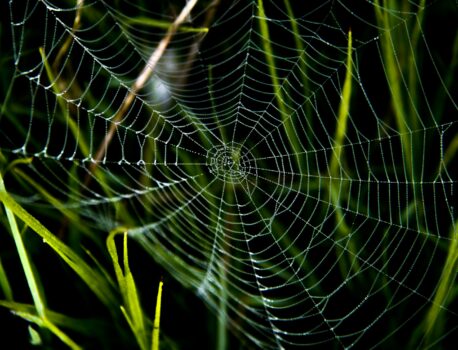 Uważaj na chwilówki – kiedy szybka pożyczka może być pułapką?