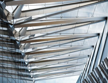 Czym charakteryzują się parabanki?