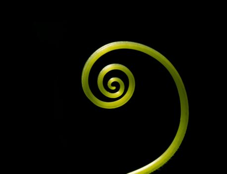 Edukacja finansowa – jak uniknąć spirali zadłużenia?